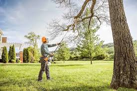 Reliable Huntingburg, IN  Tree Services Solutions