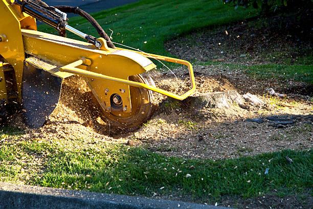 Mulching Services in Huntingburg, IN